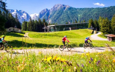 Discesa e-bike dal Passo del Tonale