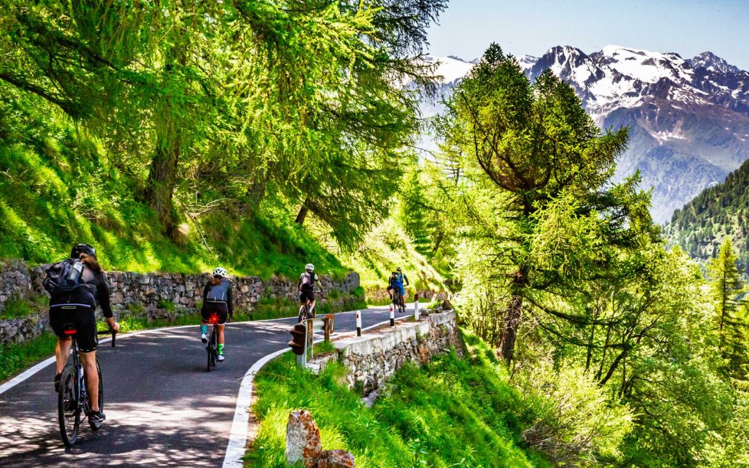 Giornata di chiusura Passo Gavia – Venerdì 13 giugno