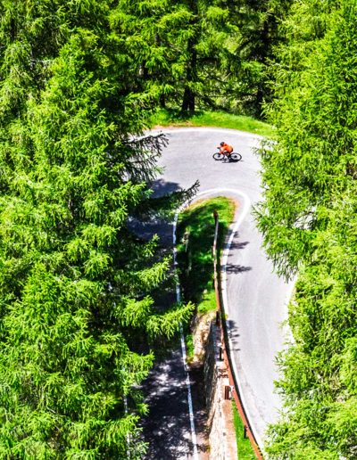 Gavia 13 Giugno 2025