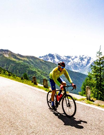 Gavia 13 Giugno 2025