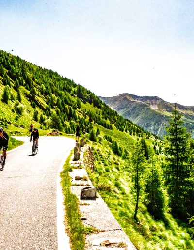 Gavia 13 Giugno 2025