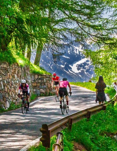 Gavia 13 Giugno 2025